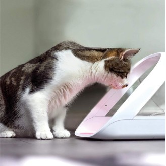 hover image