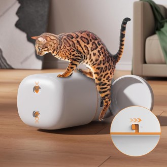 hover image